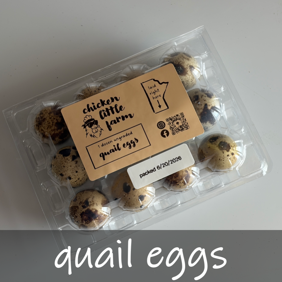 Fresh eggs