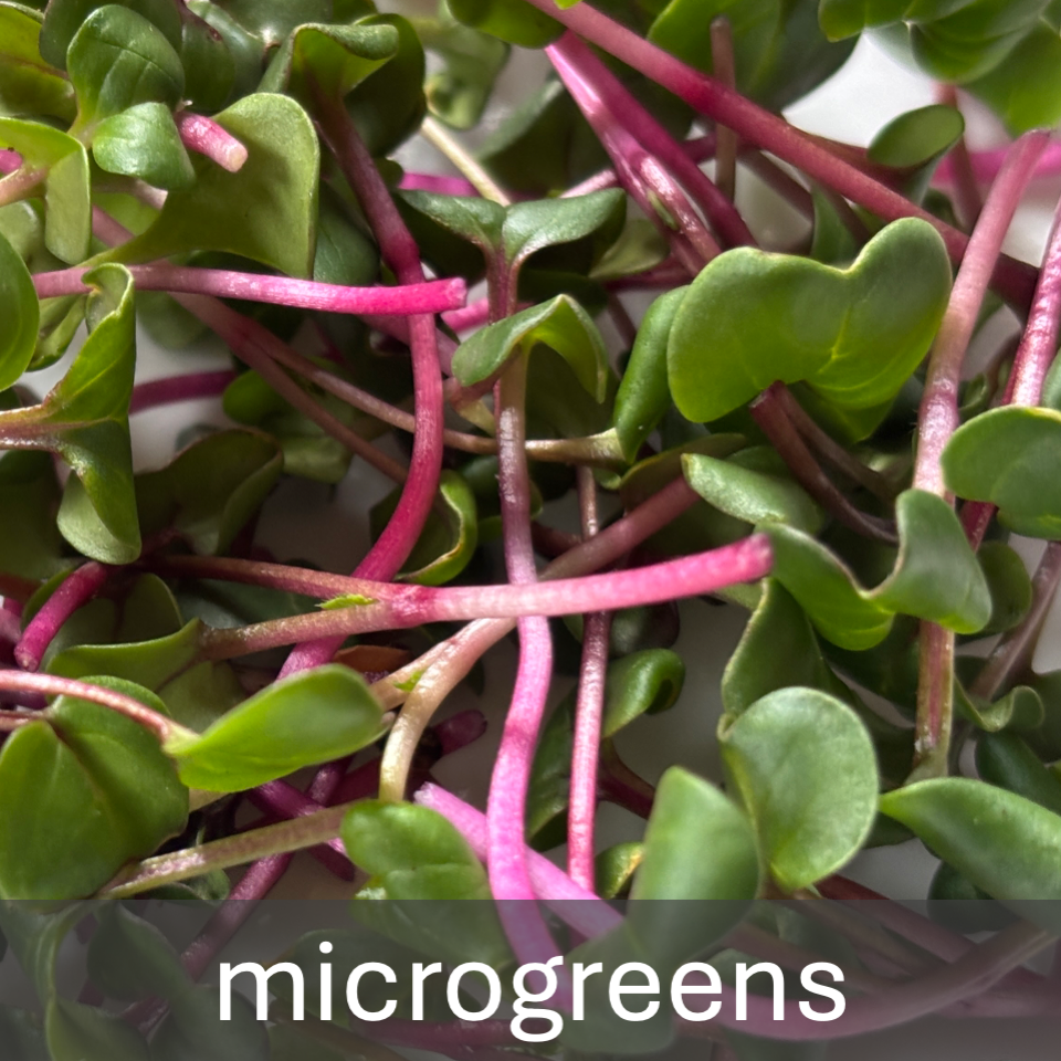 Microgreens