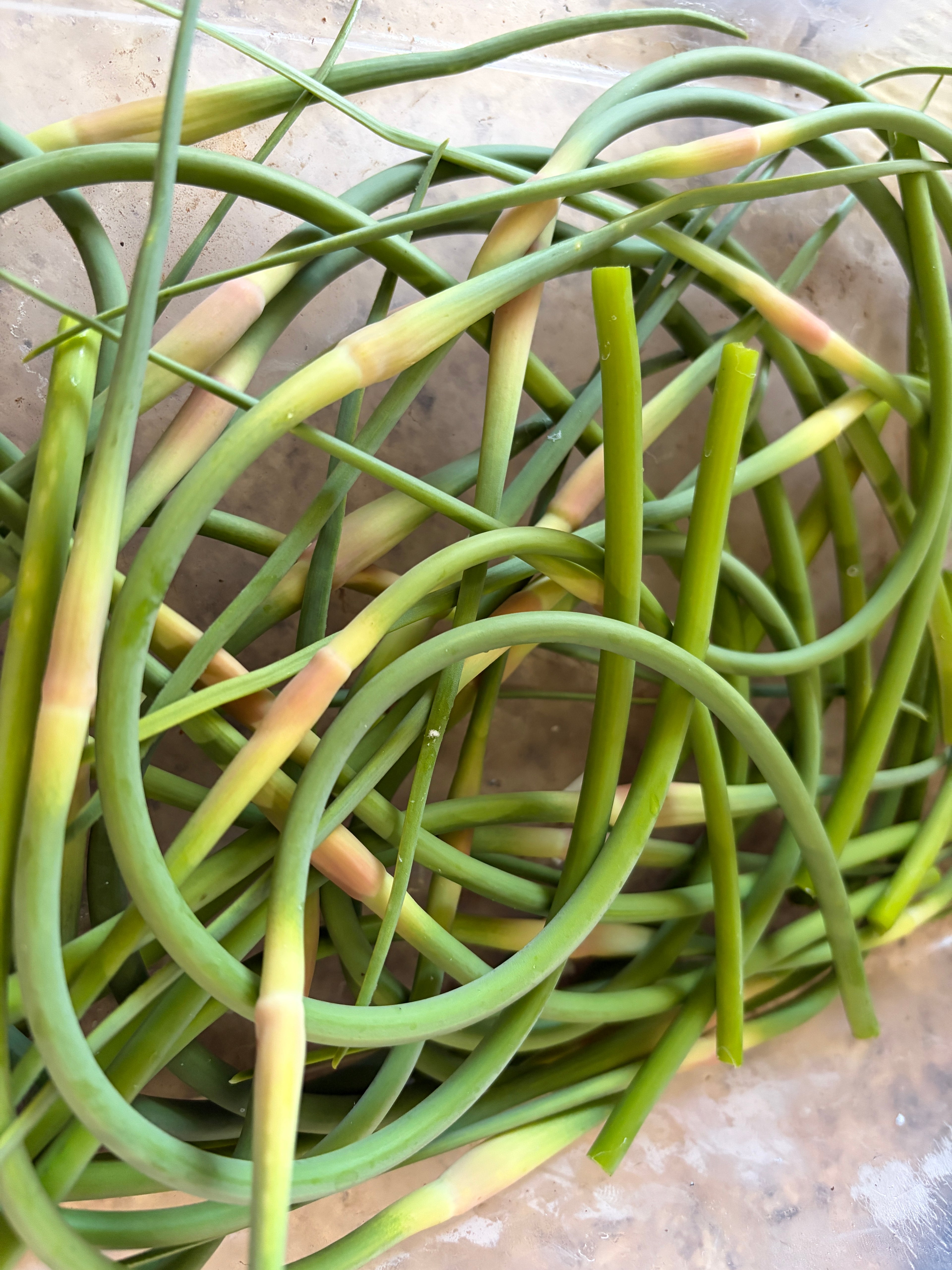 Garlic scapes