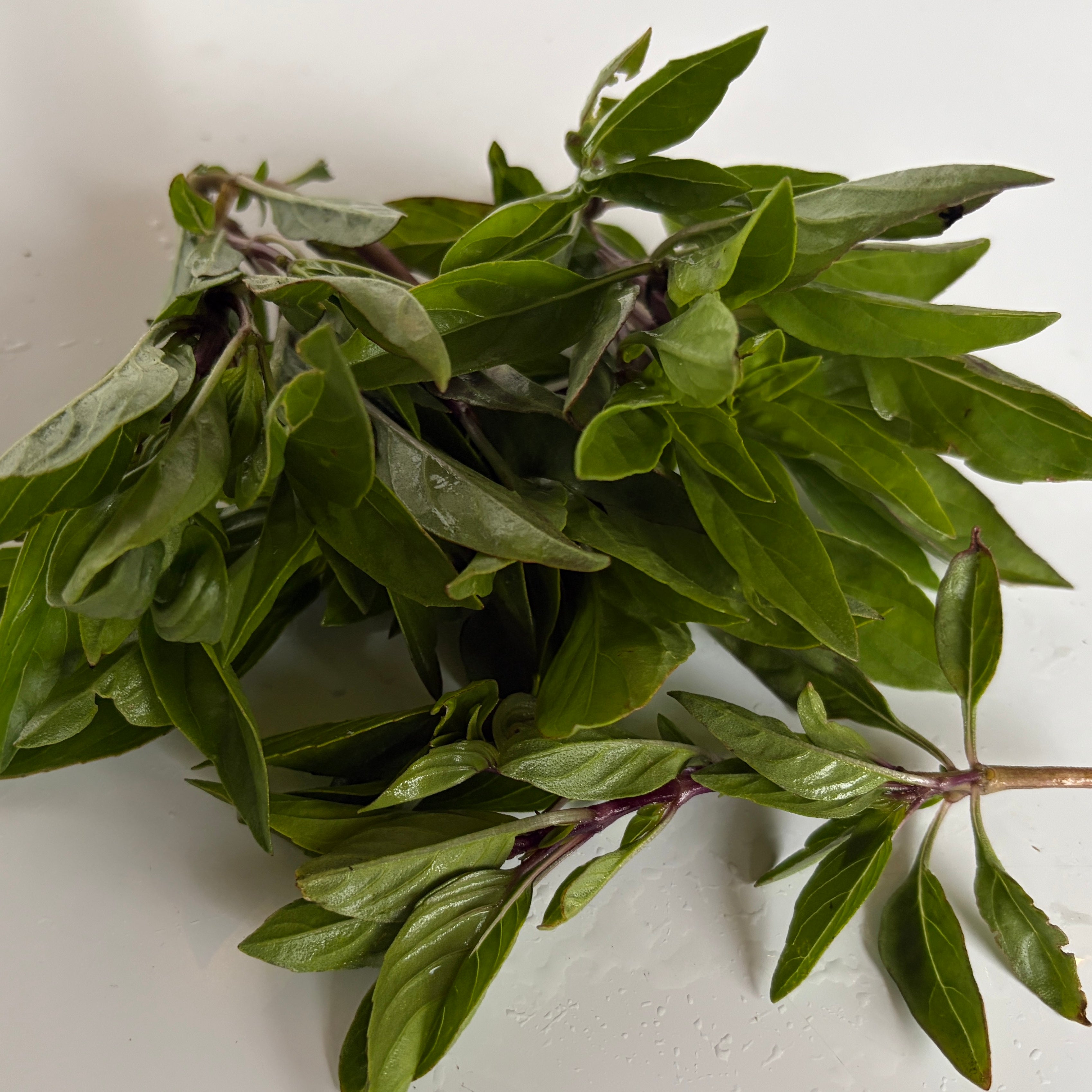 Thai basil