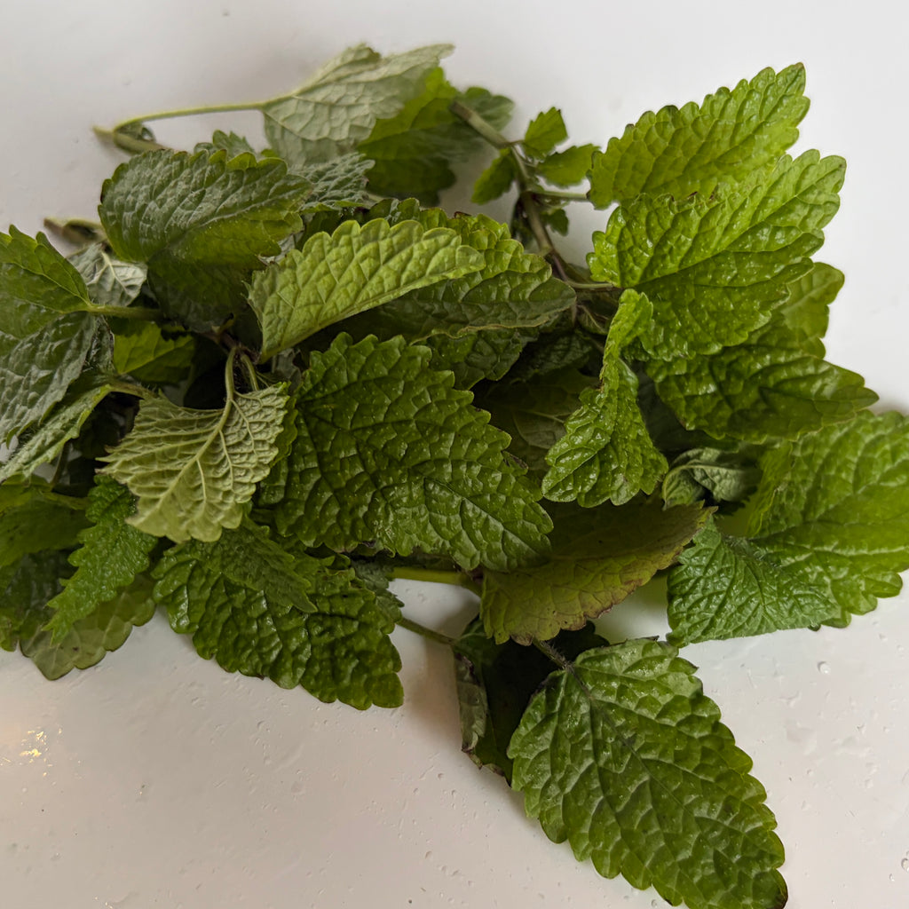 Lemon balm