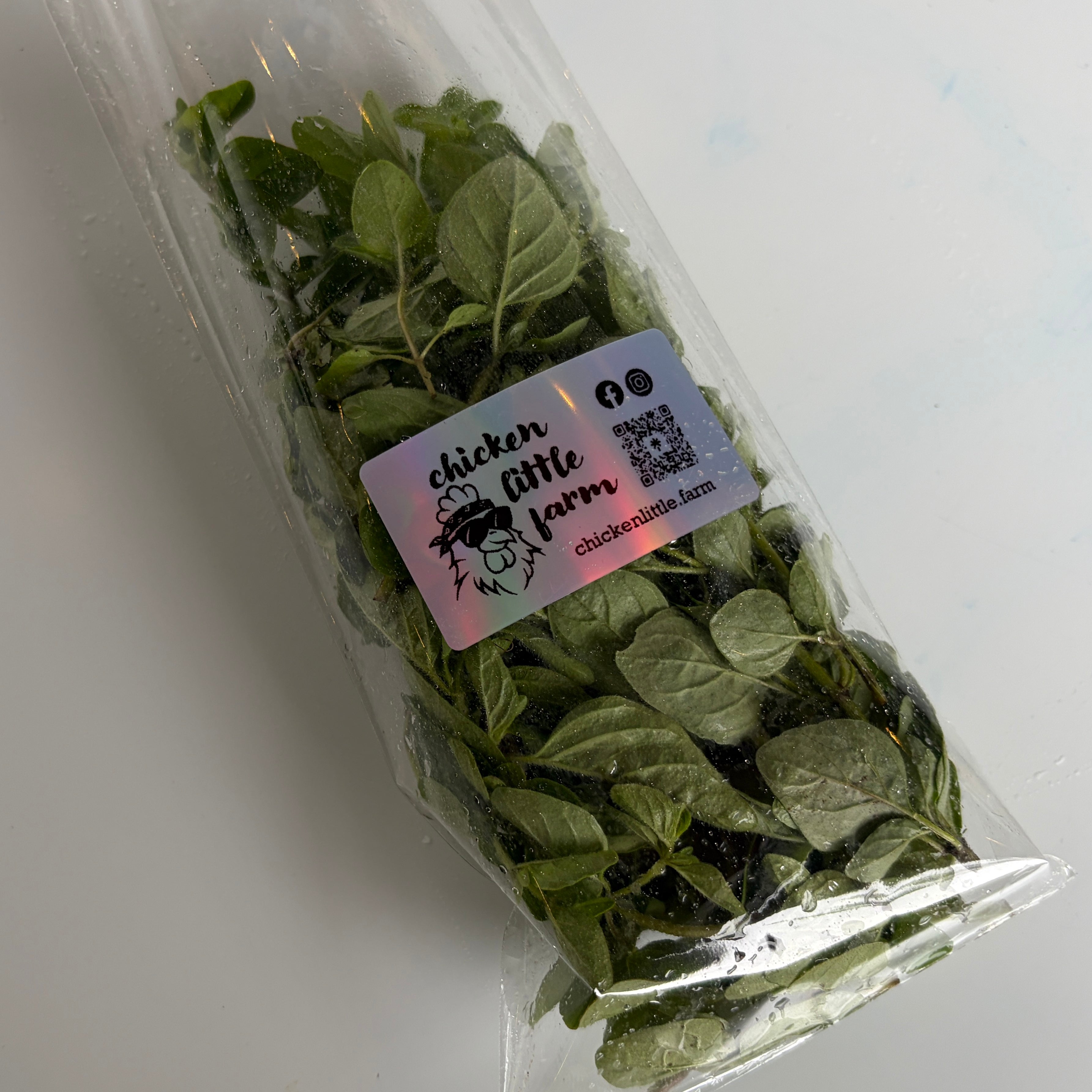 Oregano
