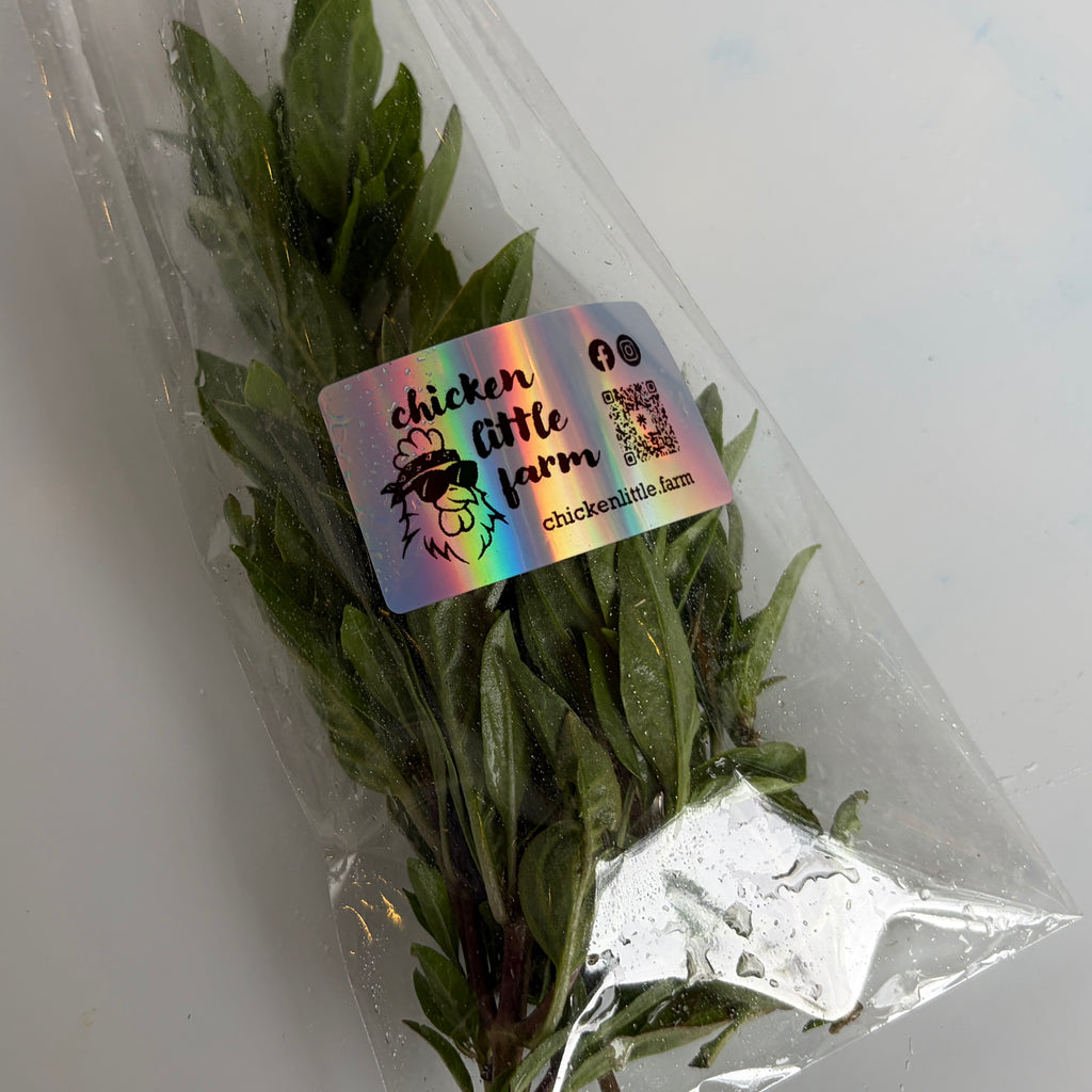 Thai basil