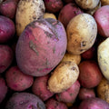 New potatoes