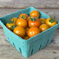 Cherry tomatoes- Sungold
