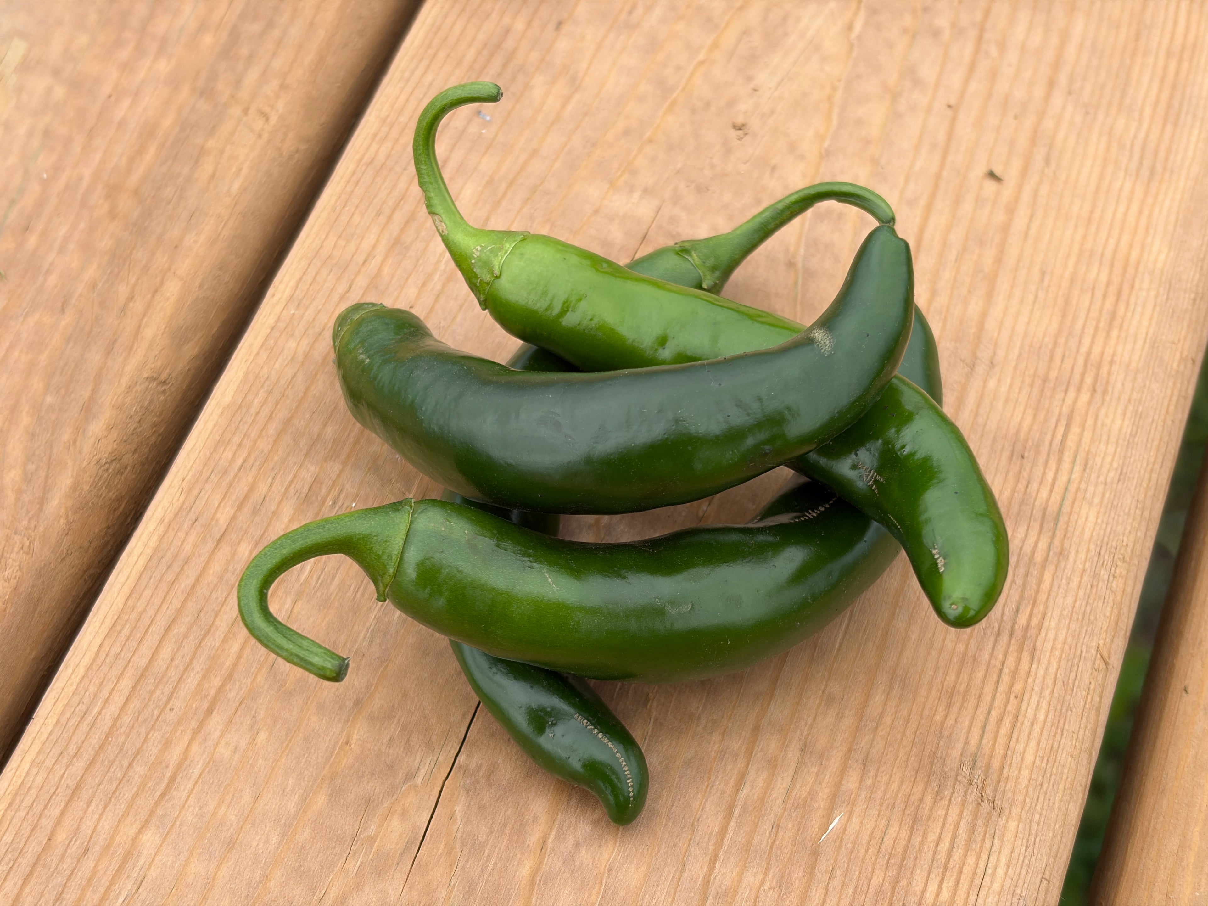 Peppers- serrano