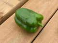 Peppers- green bell