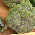 Broccoli