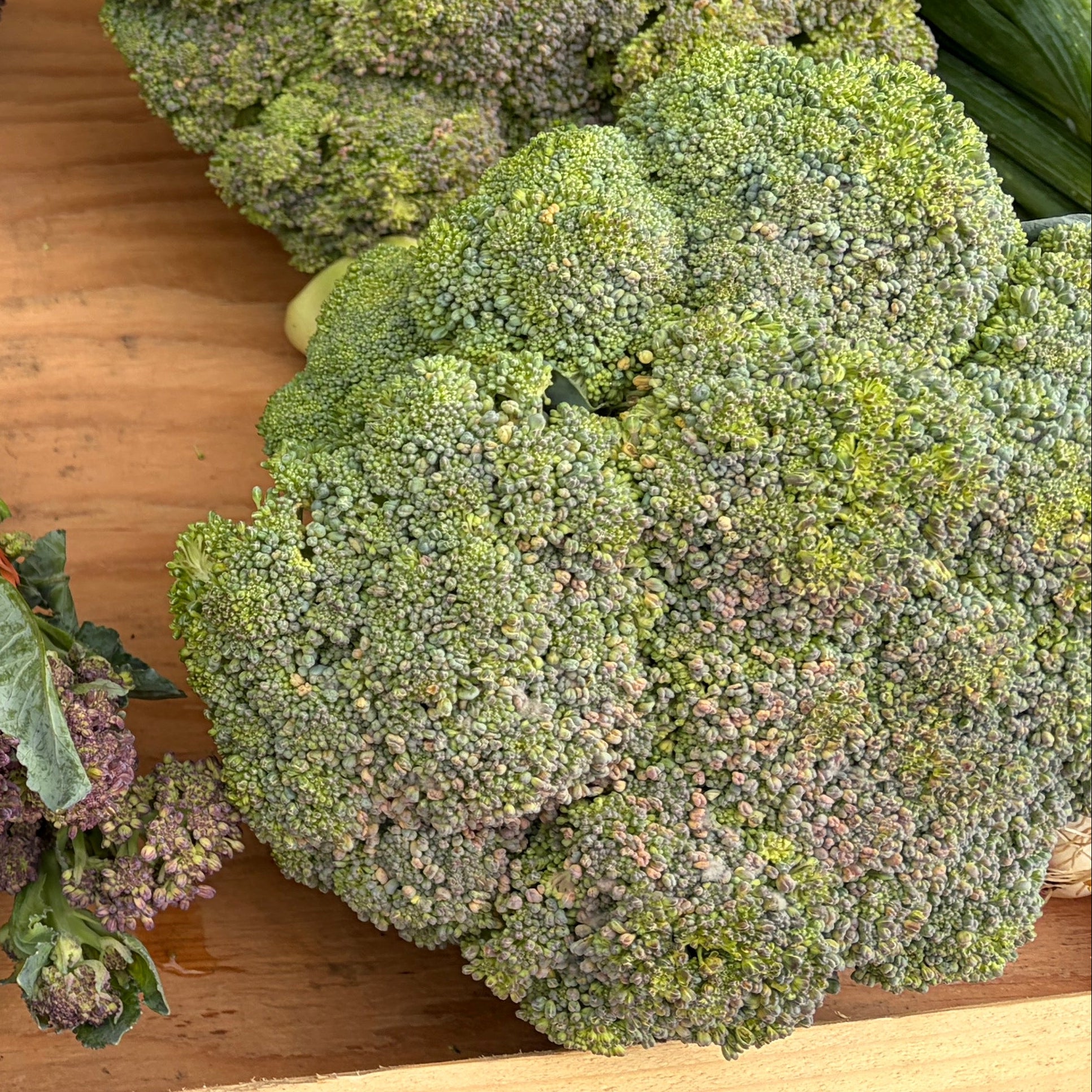 Broccoli