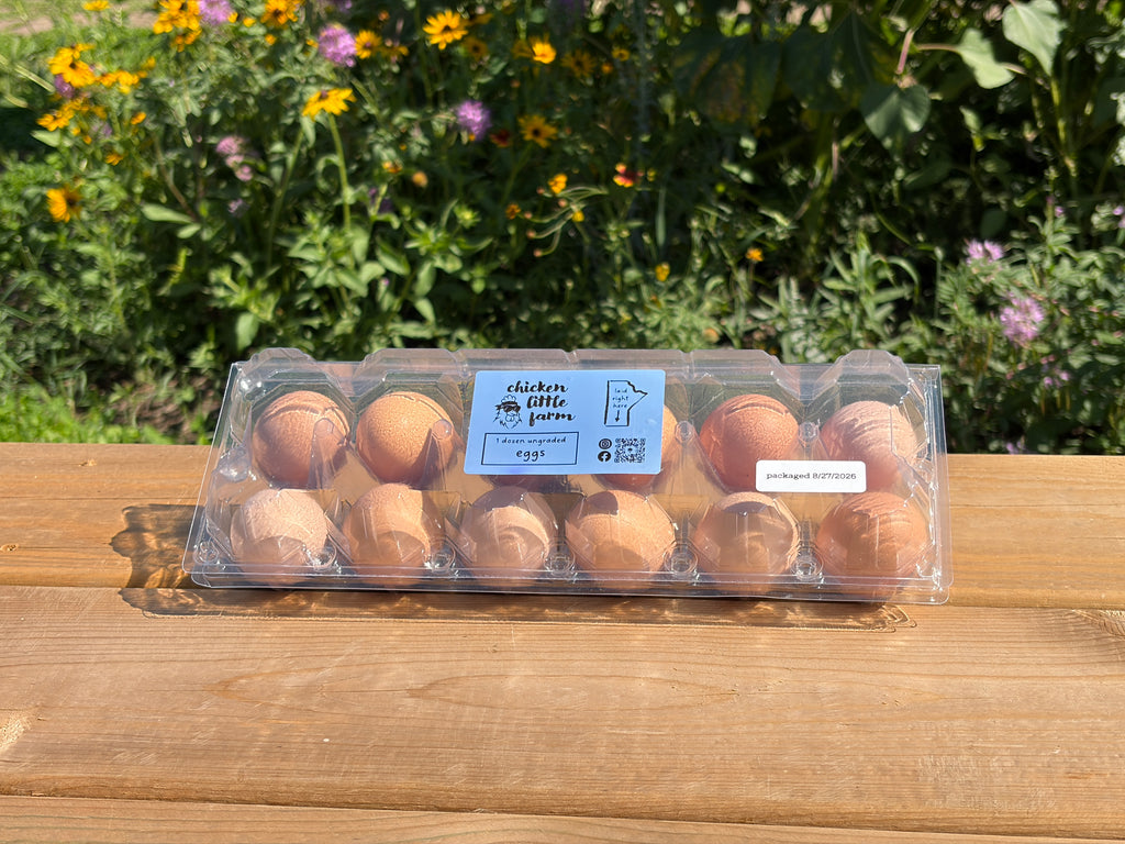 Free-range brown eggs- 1 dozen