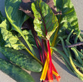 Farmer's choice package