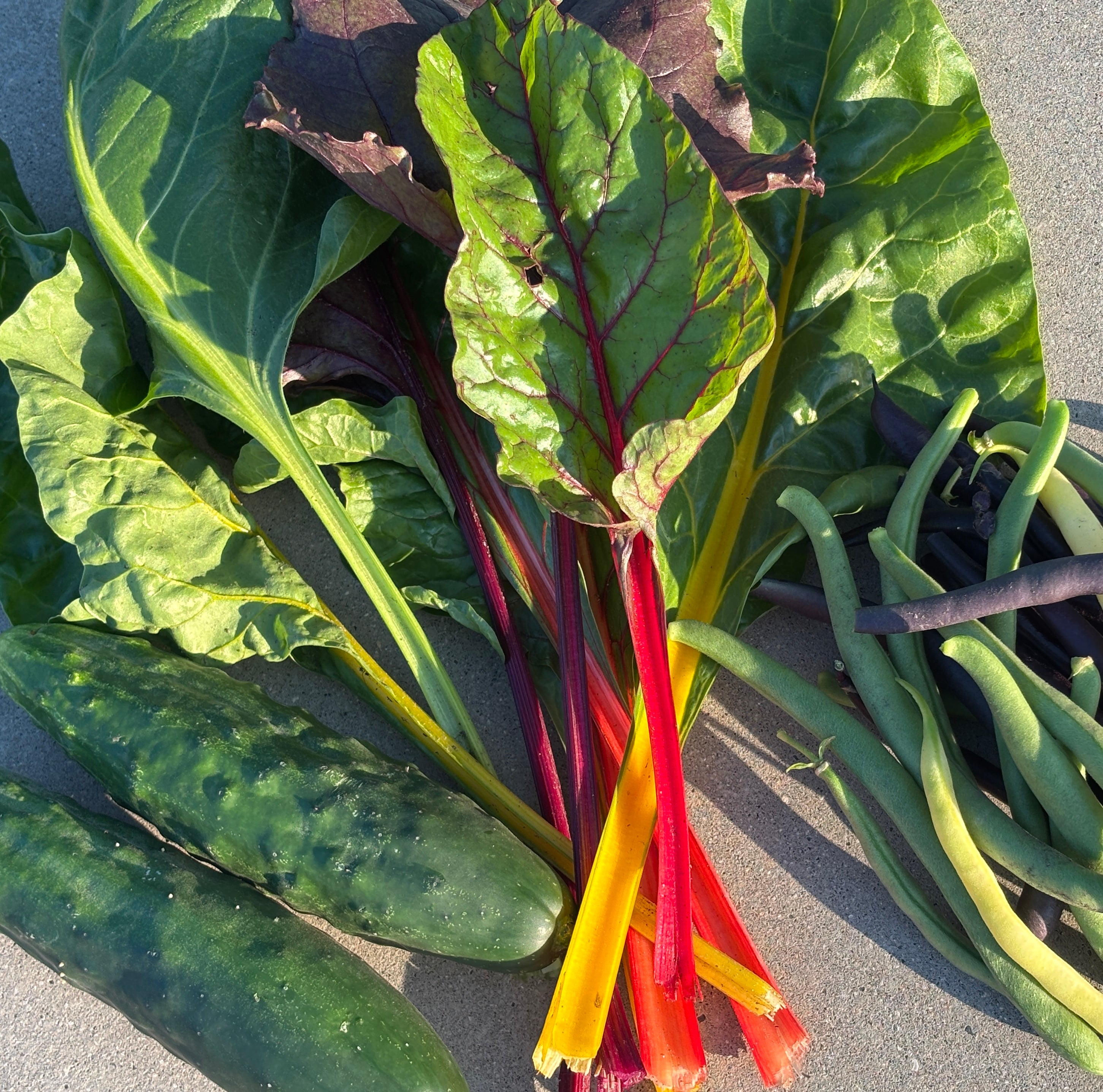 Farmer's choice package