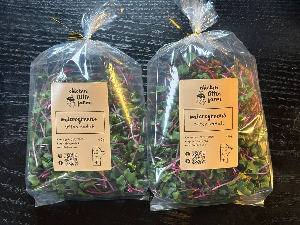 Microgreens- triton radish