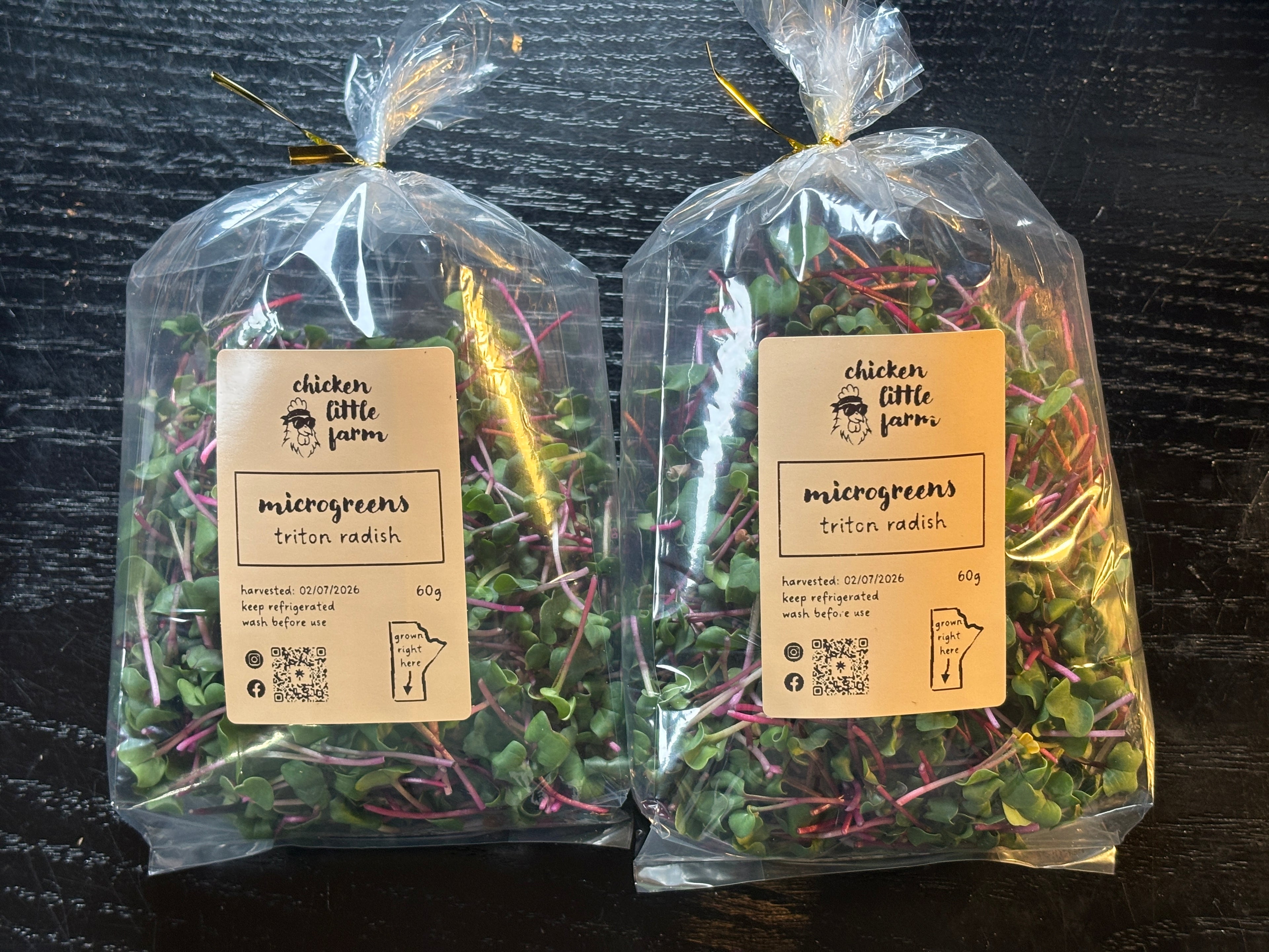 Microgreens- triton radish