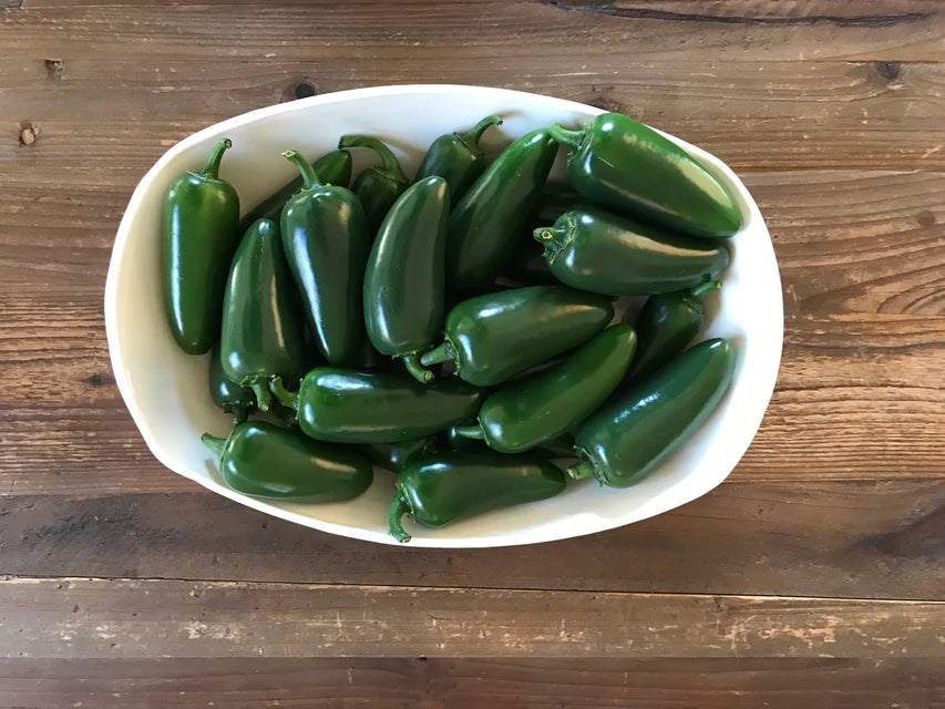 Pepper- Black Magic Jalapeño (2026 plant starts- PREORDER)